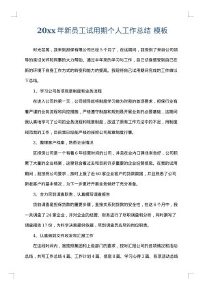 2025年新员工试用期个人工作总结