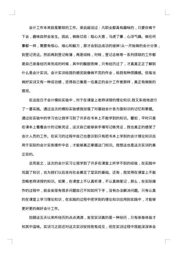 会计实训报告格式
