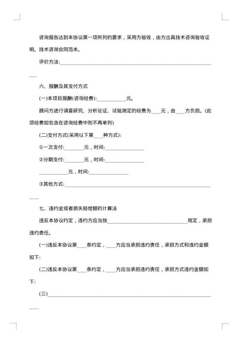 2025年技术咨询合同