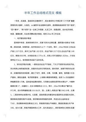 半年工作总结格式范文