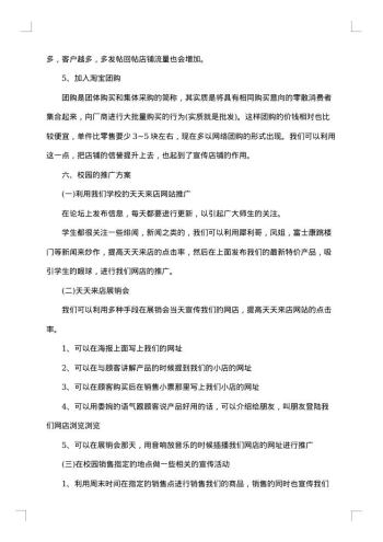 网络平台融资计划书