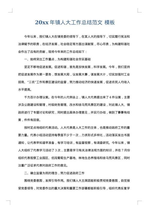 2025年镇人大工作总结范文
