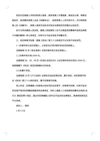 法律意见书范文