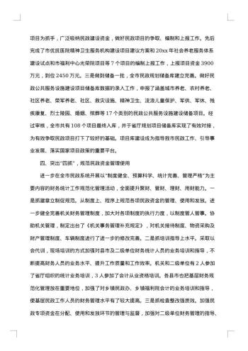政府财务工作总结报告个人