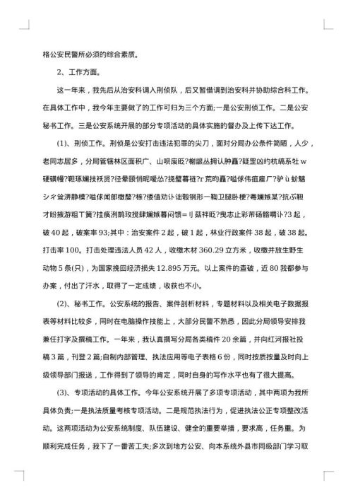 2025年警察工作总结