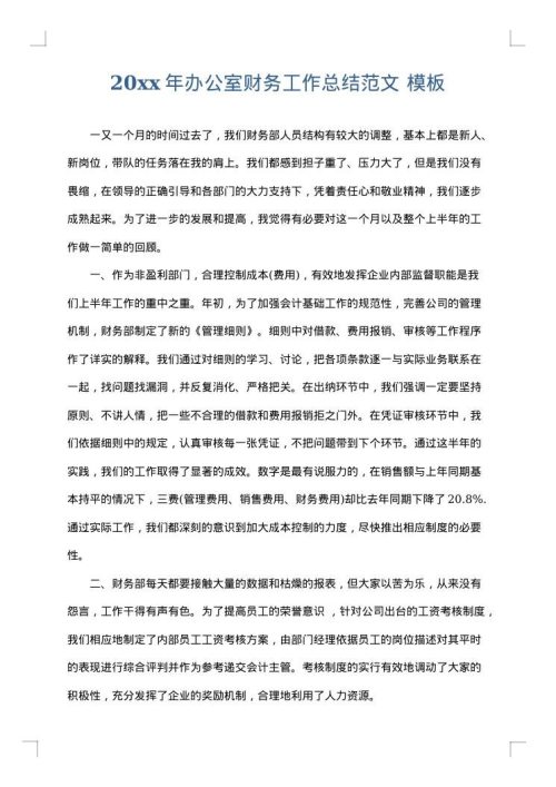 2025年办公室财务工作总结范文