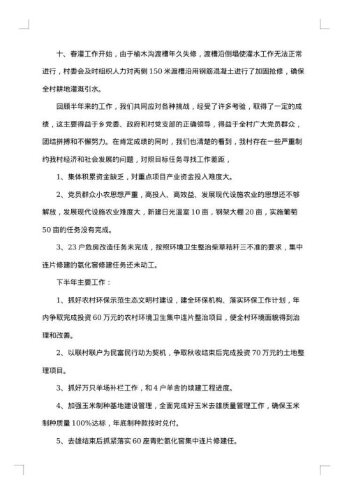 村委会上半年工作总结