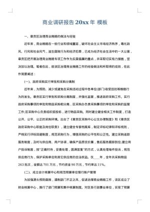 商业调研报告2025年