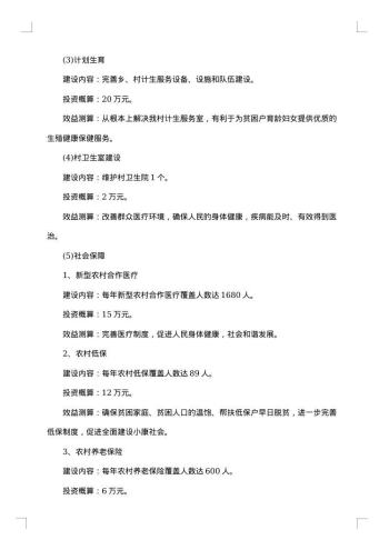 村脱贫计划书