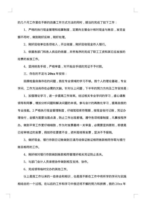 2025年出纳试用期工作总结范文