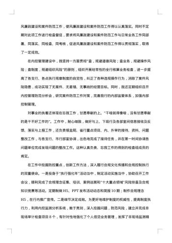 述廉述职报告范文20xx年
