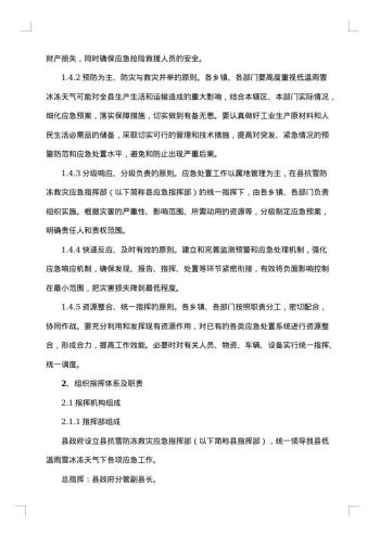 县区暴雪灾害应急预案范文