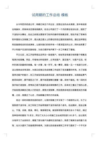 试用期的工作总结