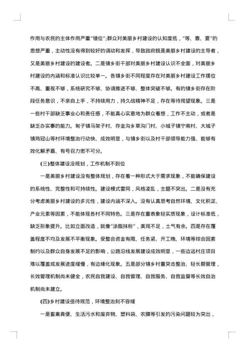 2025年村建设调研报告