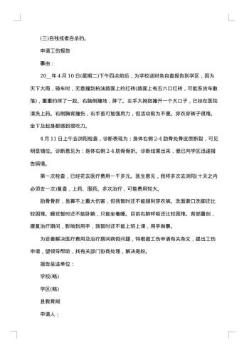 企业申请担保报告书