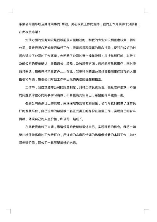 2025年试用期转正工作总结