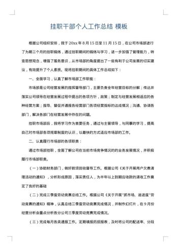 挂职干部个人工作总结