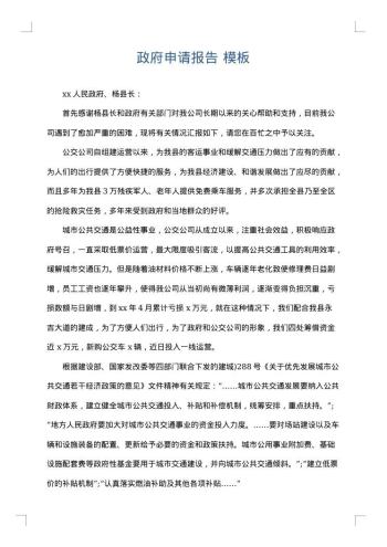 政府申请报告