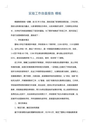 实验工作自查报告