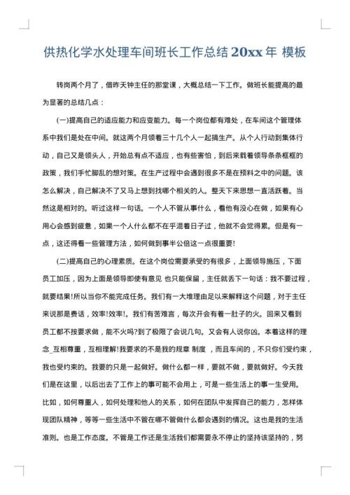 供热化学水处理车间班长工作总结2025年