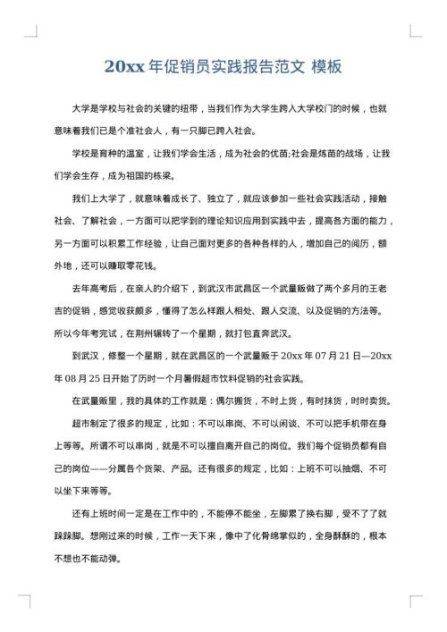 2025年促销员实践报告范文