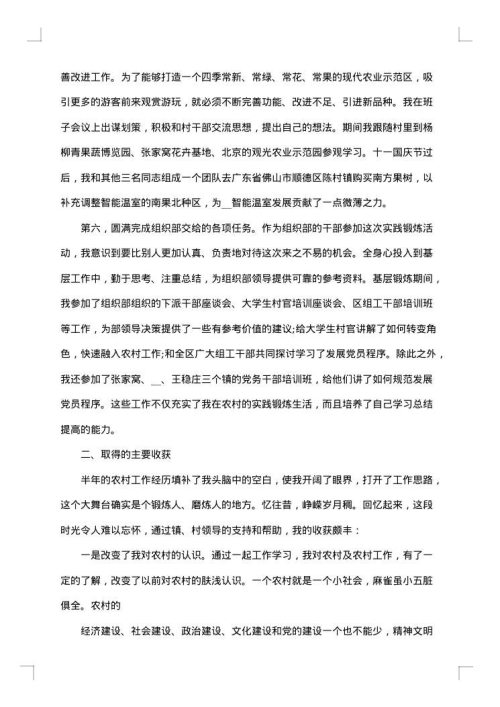 挂职锻炼年终工作总结范文