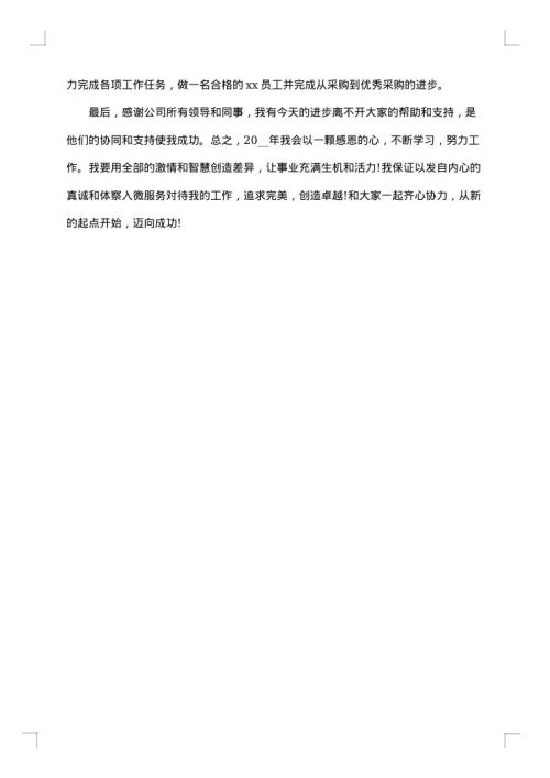 12312个人年终工作总结报告