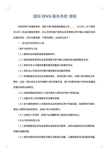国际DNS服务条款