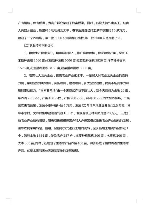 2025年政府半年工作总结