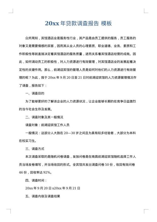 2025年贷款调查报告