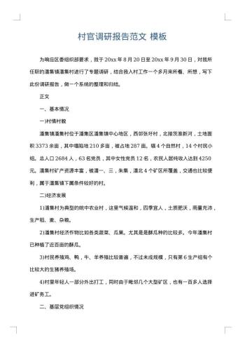 村官调研报告范文