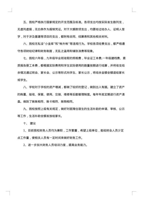 财务自查报告