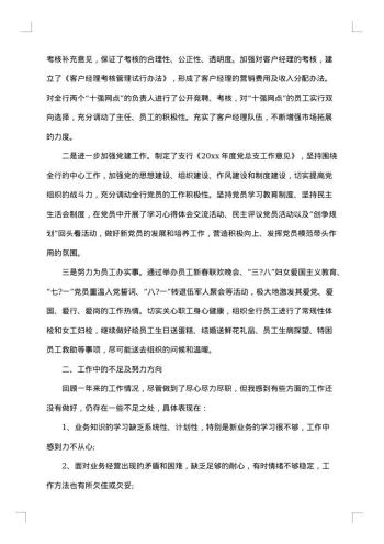 银行行长述职述廉报告