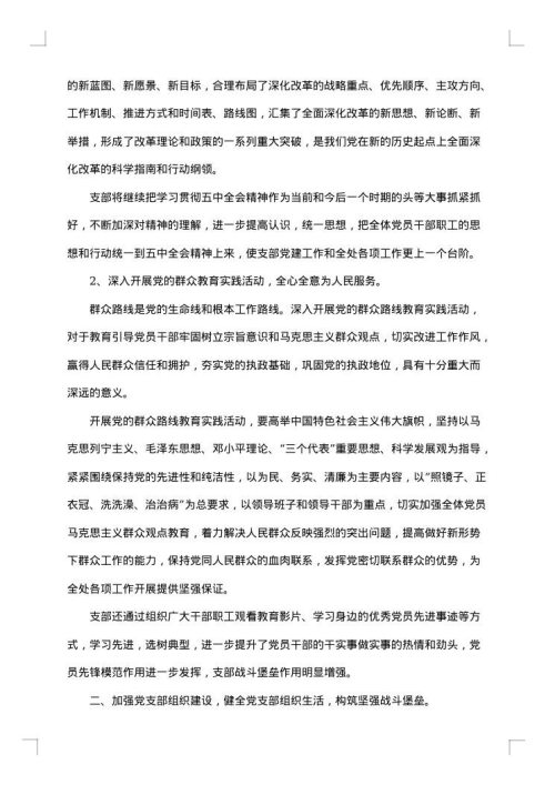 党支部工作总结
