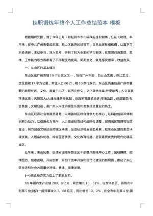 挂职锻炼年终个人工作总结范本