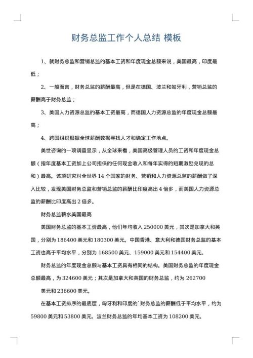 财务总监工作个人总结