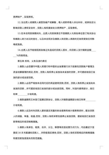 个人质押借款合同