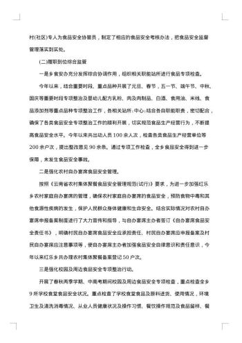 20xx年乡镇食品安全工作总结范文