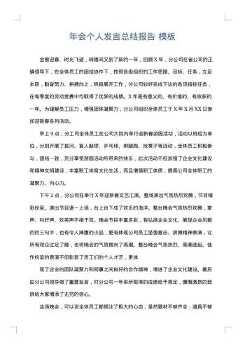 年会个人发言总结报告