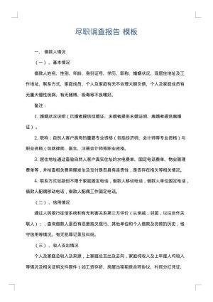 尽职调查报告
