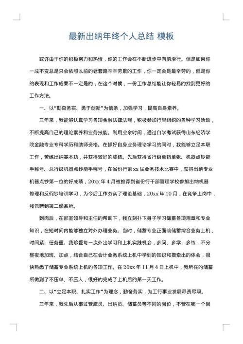 最新出纳年终个人总结