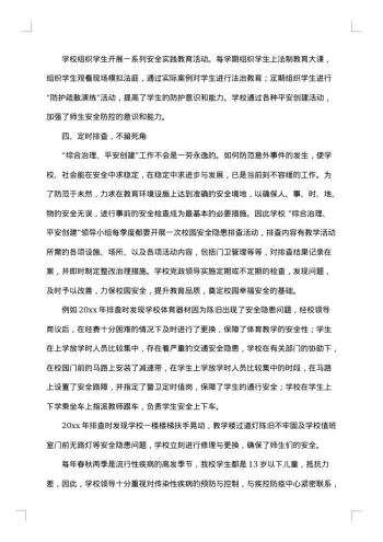 综合治理自查报告
