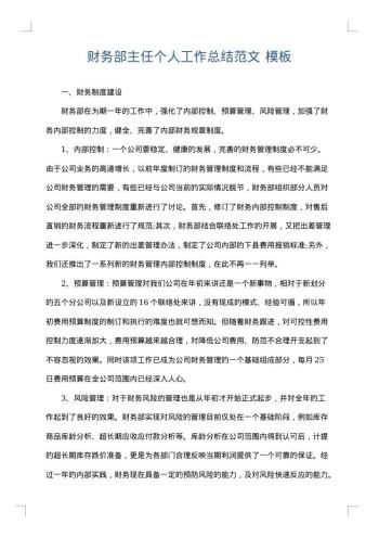 财务部主任个人工作总结范文