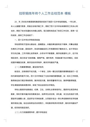 挂职锻炼年终个人工作总结范本
