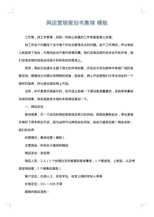 网店营销策划书集锦