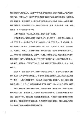 服装的市场调查报告