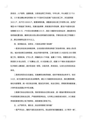 行政执法局年度工作总结范文