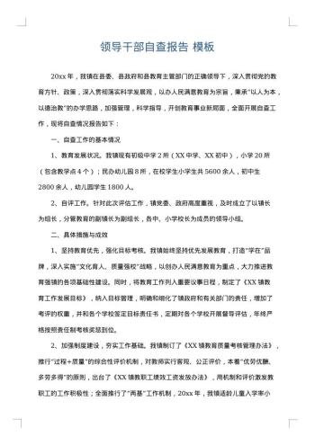 领导干部自查报告
