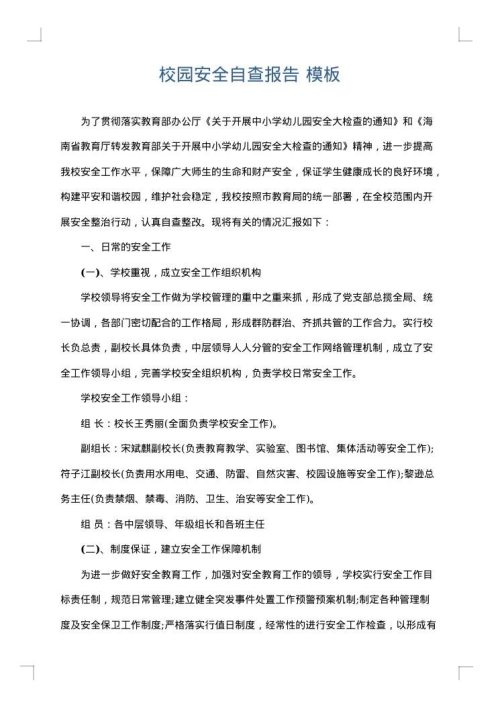 校园安全自查报告