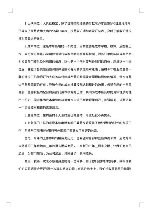 财务人员的个人工作总结范文1000字
